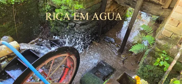 FAZENDINHA À VENDA EM ITAGUARA/MG COMPLETA PARA LEITE AGUA A VONTADE MESMO