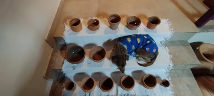 Lote com 13 Vasos e Cachepots de Barro / Cerâmica Artesanal - Decoração e Jardim