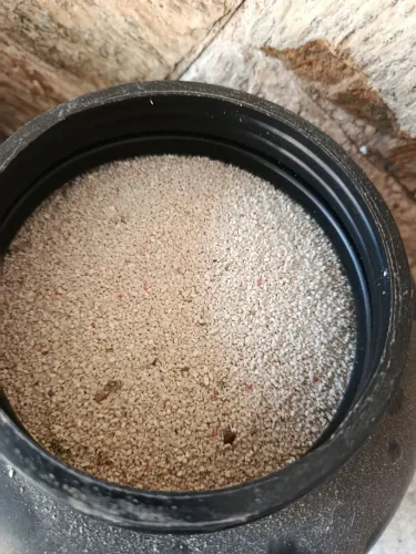 Desmontei de aquário marinho