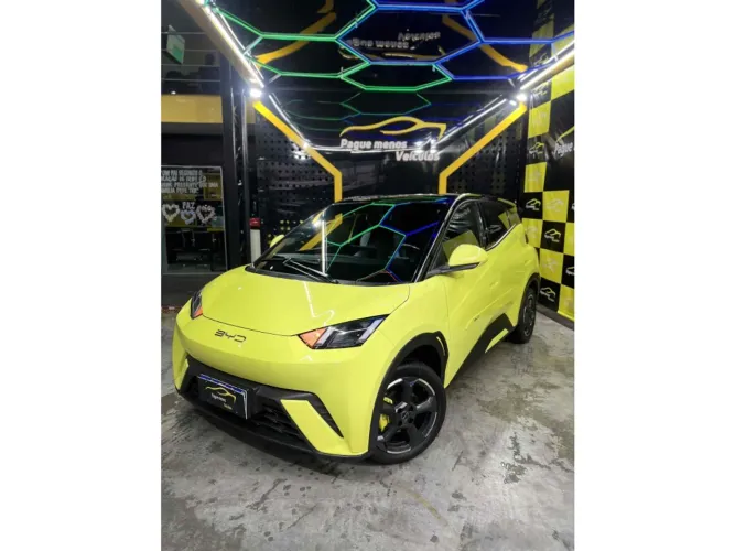 DOLPHIN MINI 2024 / GARANTIA DE FABRICA