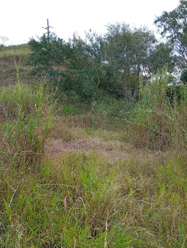 Alugo chácara beira de rodovia