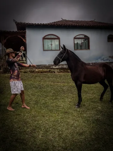 Égua mangalarga