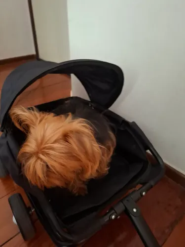 Carrinho de passeio para pets