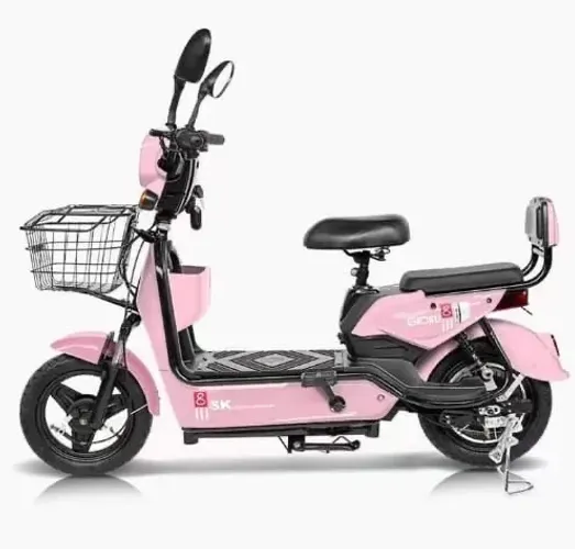 Bicicleta Elétrica 