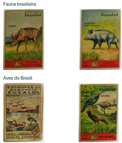 Conjunto de estampas Eucalol - Natureza do Brasil