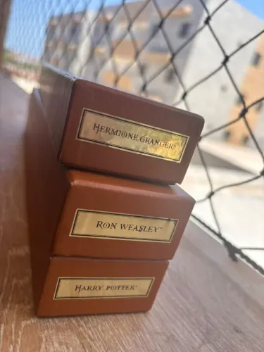 Varinhas Harry Potter universal park