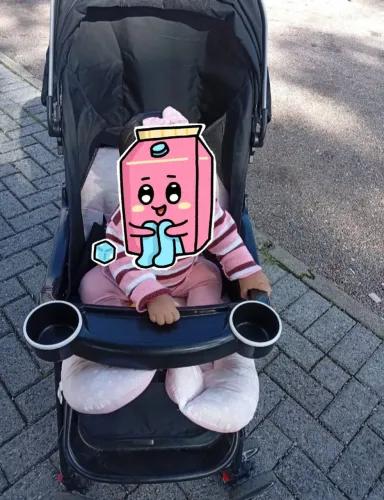 Carrinho de bebe