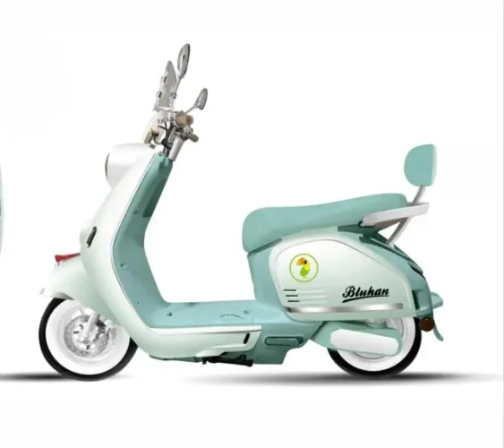 Motocicleta Eléctrica Bluhan Paris Pro - 1.200w