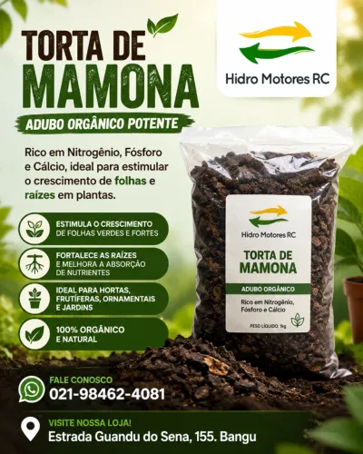 Torta de Mamona