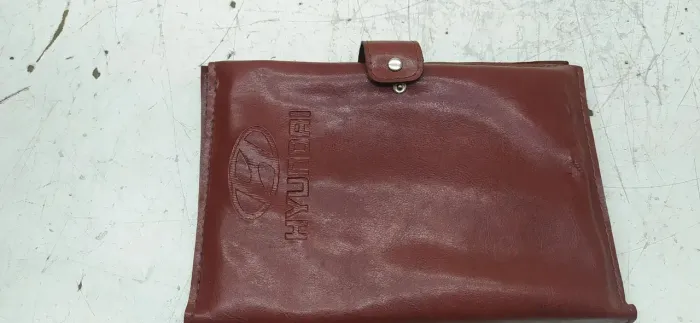 Manual Azera
