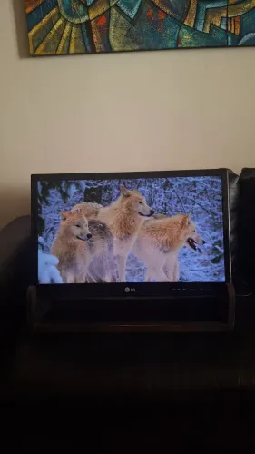 TV LED LG 25 polegadas FUNCIONANDO