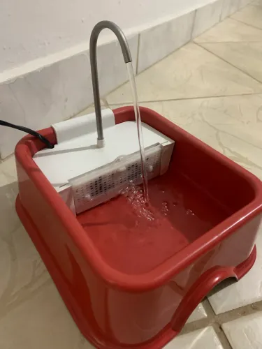 bebedouro para gato 