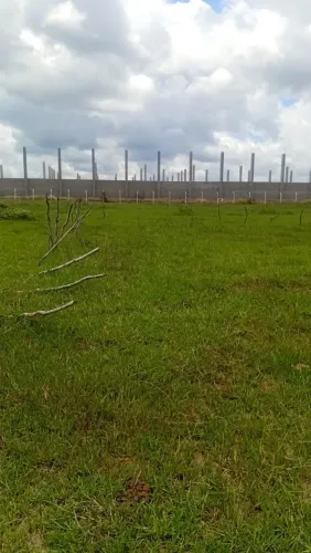 Terreno em Amélia Rodrigues 