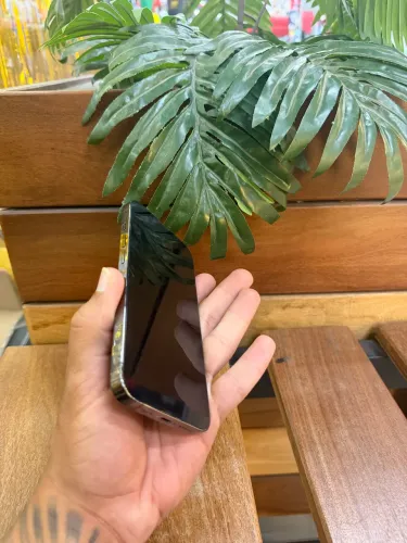13 pro
