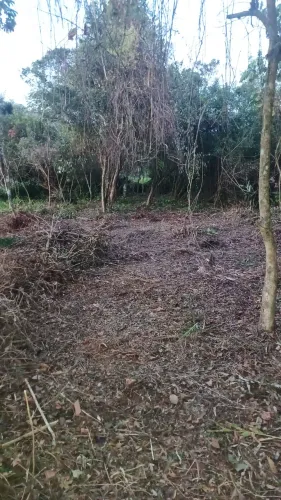 Aceito descarte de aterro gratis 
