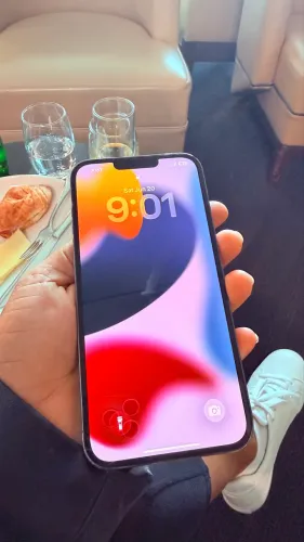 iPhone 13 Pro max 