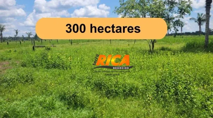 VENDE-SE EXCELENTE FAZENDA  OPORTUNIDADE ÚNICA! COM 210 HECTARES DE PASTO.