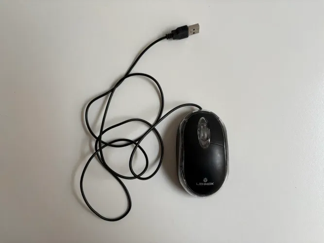 Mouse