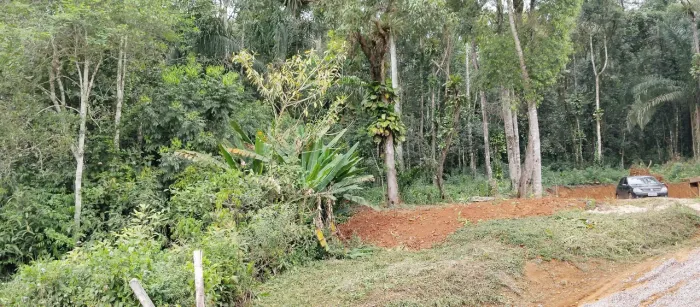 Linda chácara em Antonina 500 metros da Rodovia e 5 km da cidade de Antonina. 