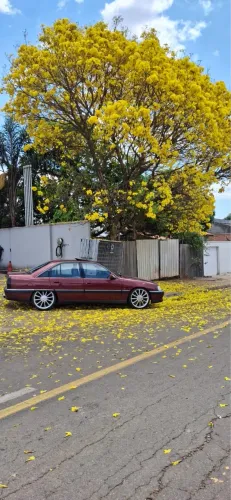 Chevrolet Omega Diamond 1994