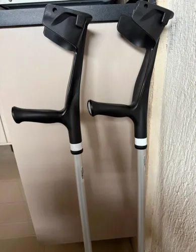 Muleta canadense