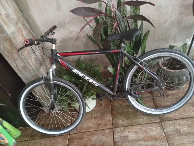 Bicicleta