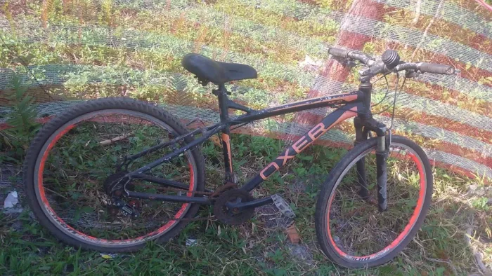 Bicicleta