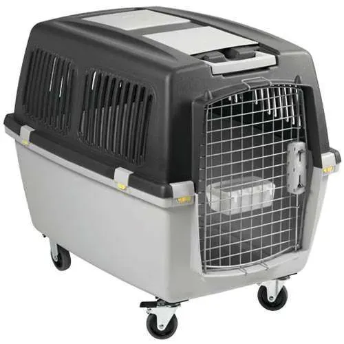 Caixa de Transporte Chalesco Gulliver Cinza Com Rodinhas