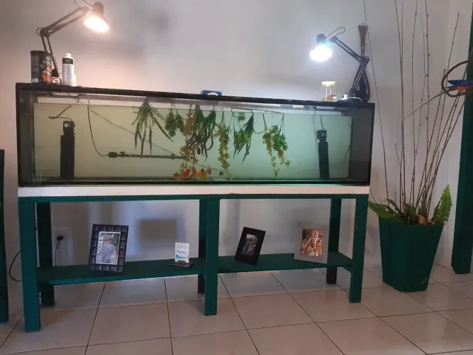Vendo Aquário 400 litros