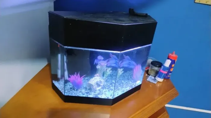 Aquário