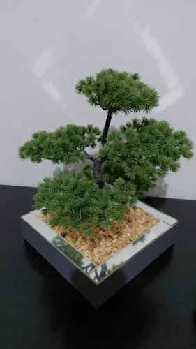 Bonsai Realista