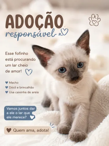 Doação