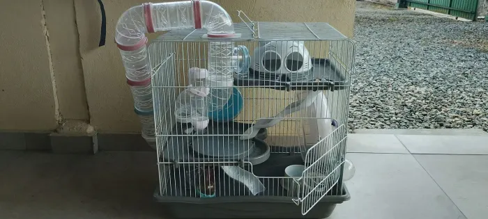 Gaiola grande hamster com brinquedos 
