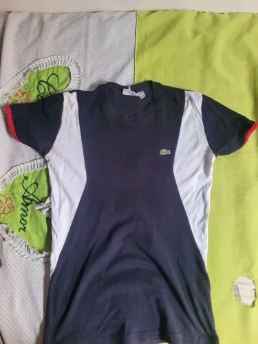 Lote de camisas masculina