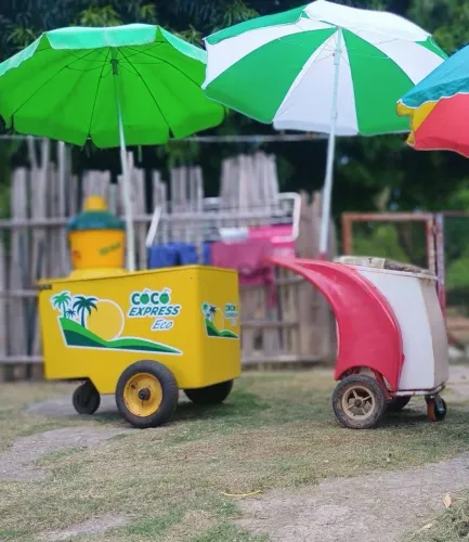 Carro de coco e carro de água valor 2.200 os dois 