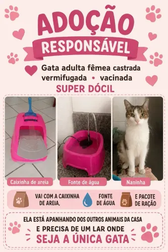 Doação responsável