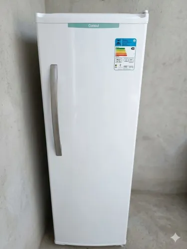 Freezer Vertical Consul