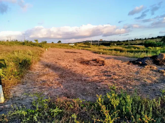 TERRENO PARA ALUGUEL - TORRE DE TELECOMUNICAÇÃO | ESTRADA DO FEIJÃO - BA