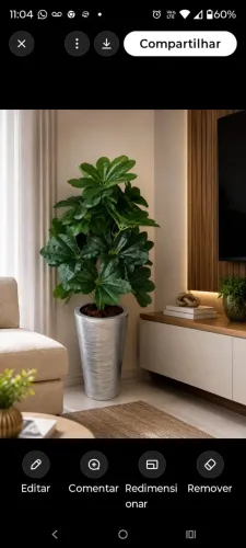 lindo vaso de Schefflera permanente