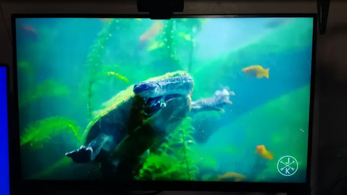 Monitor Gamer ASUS TUF 27", QHD, 210Hz, 0.3ms, FAST IPS, Som integrado. - Usado Excelente