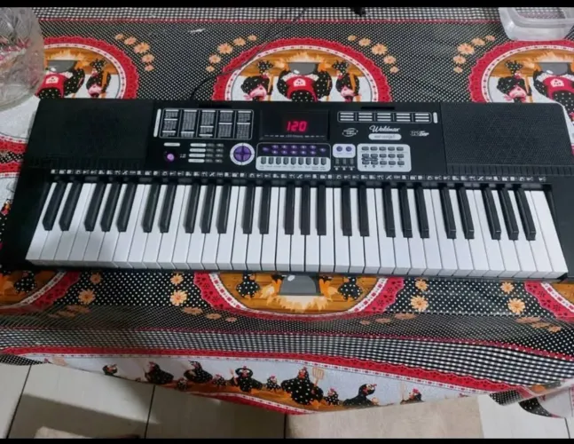 Vendo teclado Waldman