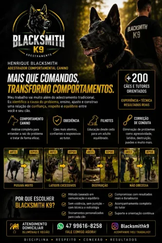 Adestramento Canino em Blumenau | Obediência e Comportamento