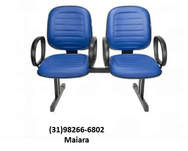 Longarina 2 lugares diretor gomada