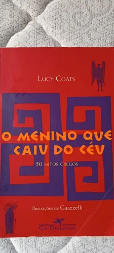 Livro O menino que caiu do céu 