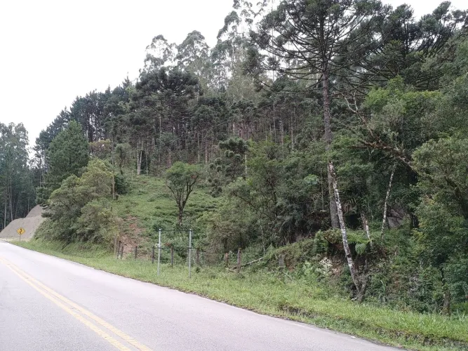 ANITÁPOLIS/SC - Terreno com 12hectares em frente a SC -108