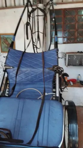 Charrete em ótimo estado de conservação 