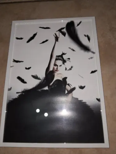 Quadro Decorativo Filme Cisne Negro 31x22