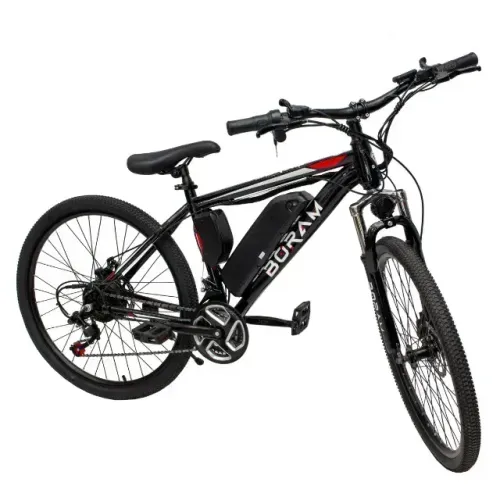 Bicicleta Elétrica Bike 25km/h ETM103V 350w - BORAM A vista R$ 3.000,00