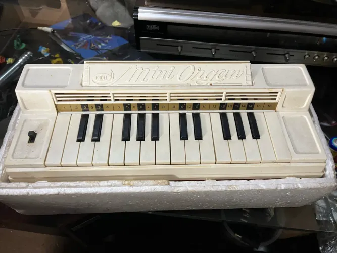 Mini Organ Proll