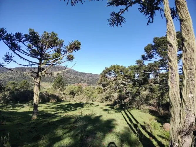 CHÁCARA DOS SONHOS À VENDA - URUBICI-SC, BOM SUCESSO